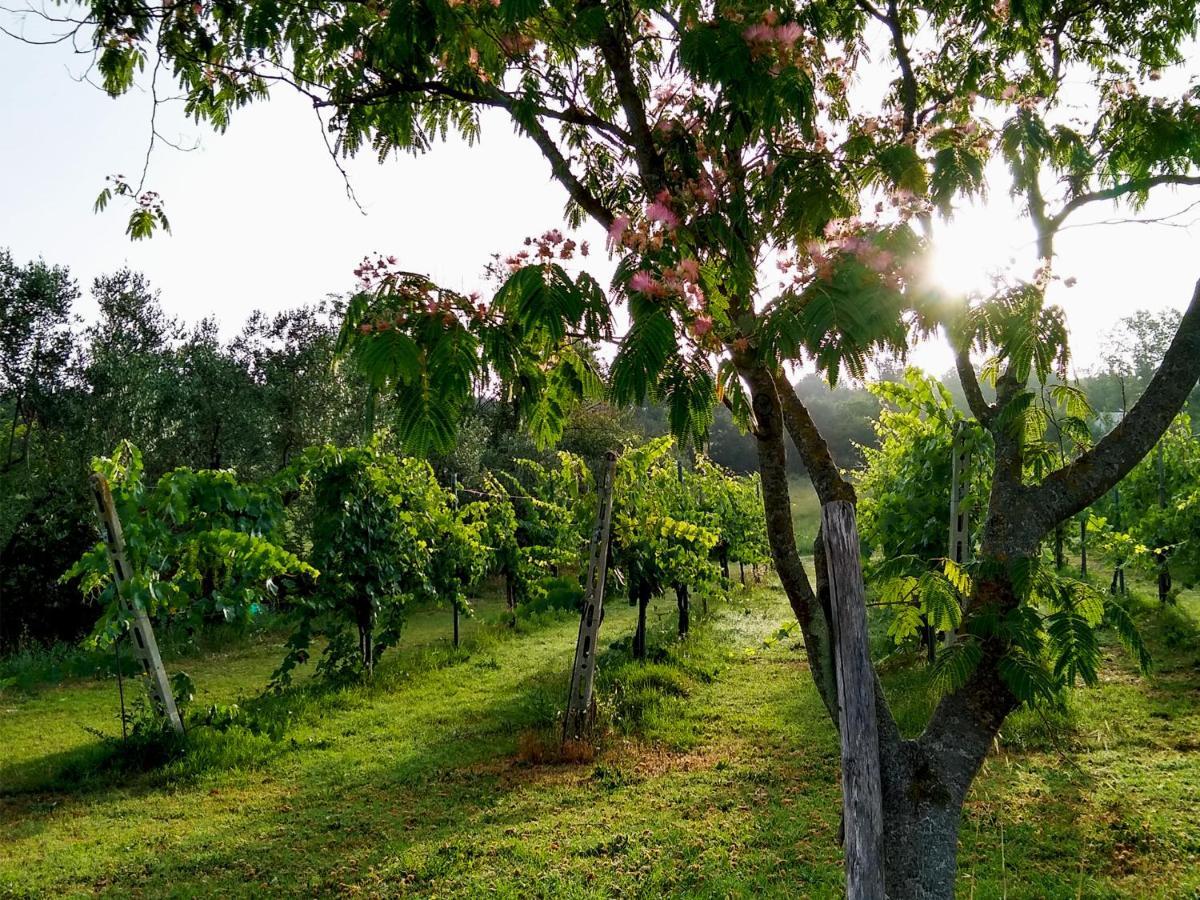 Le Piracante Caiazzo Ngoại thất bức ảnh